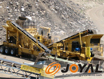 ��������̎��